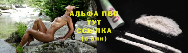 дживик Горнозаводск