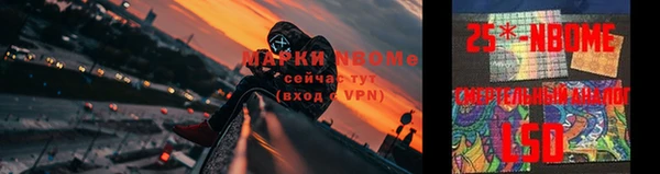 молекула духа Гусев