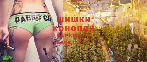 дживик Горнозаводск