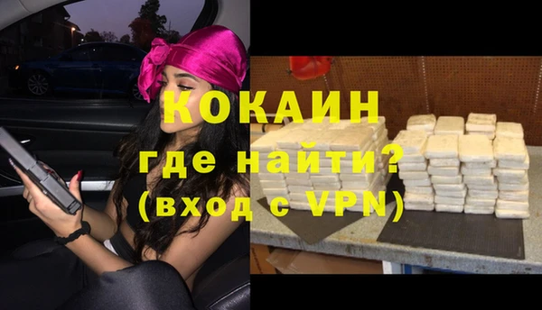 молекула духа Гусев