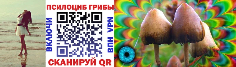 Псилоцибиновые грибы Magic Shrooms  MEGA tor  Калининград 